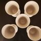 Lot de 5 mazagrans vintage art floral