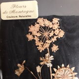 Tableau fleurs séchées signé