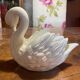Swan pocket emptier
