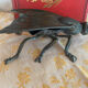 Fly ashtray