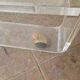 Plexiglas and gold metal rolling table