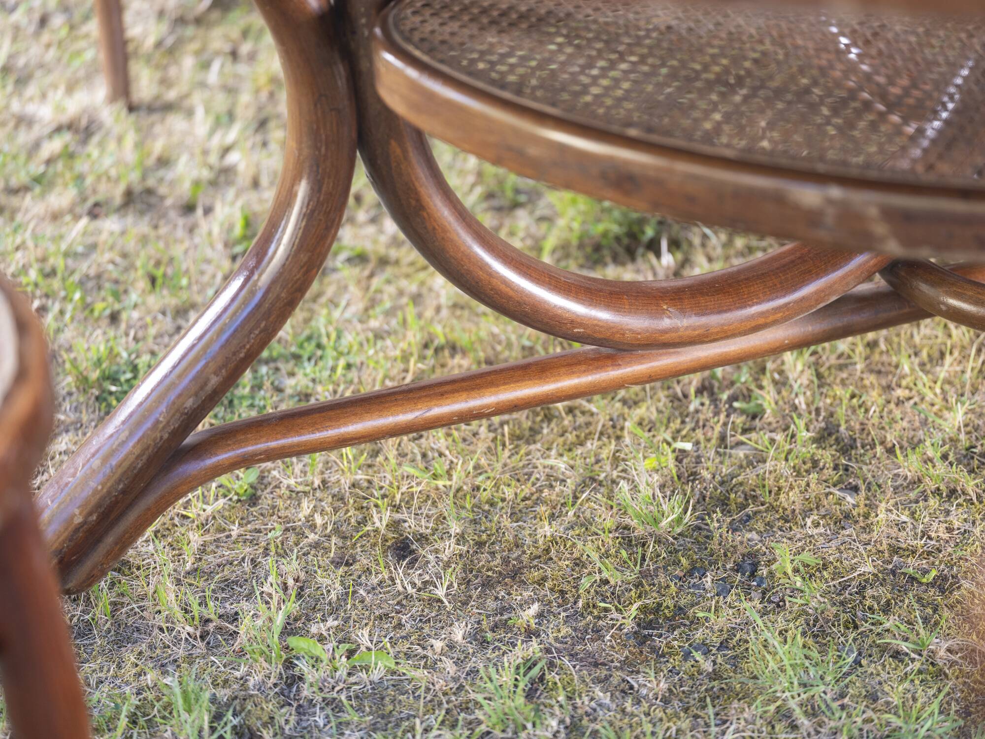 8 chaises et table en bois cintré, Empire Austro-Hongrois années 1900-1930