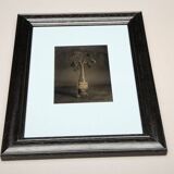 Photography Ambrotype Spring Corona Geng Valerius