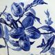 Plum plate in earthenware from Creil Montereau B. Former MC Co.
