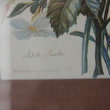 Engraving of flowers