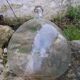 Demijohn 10l