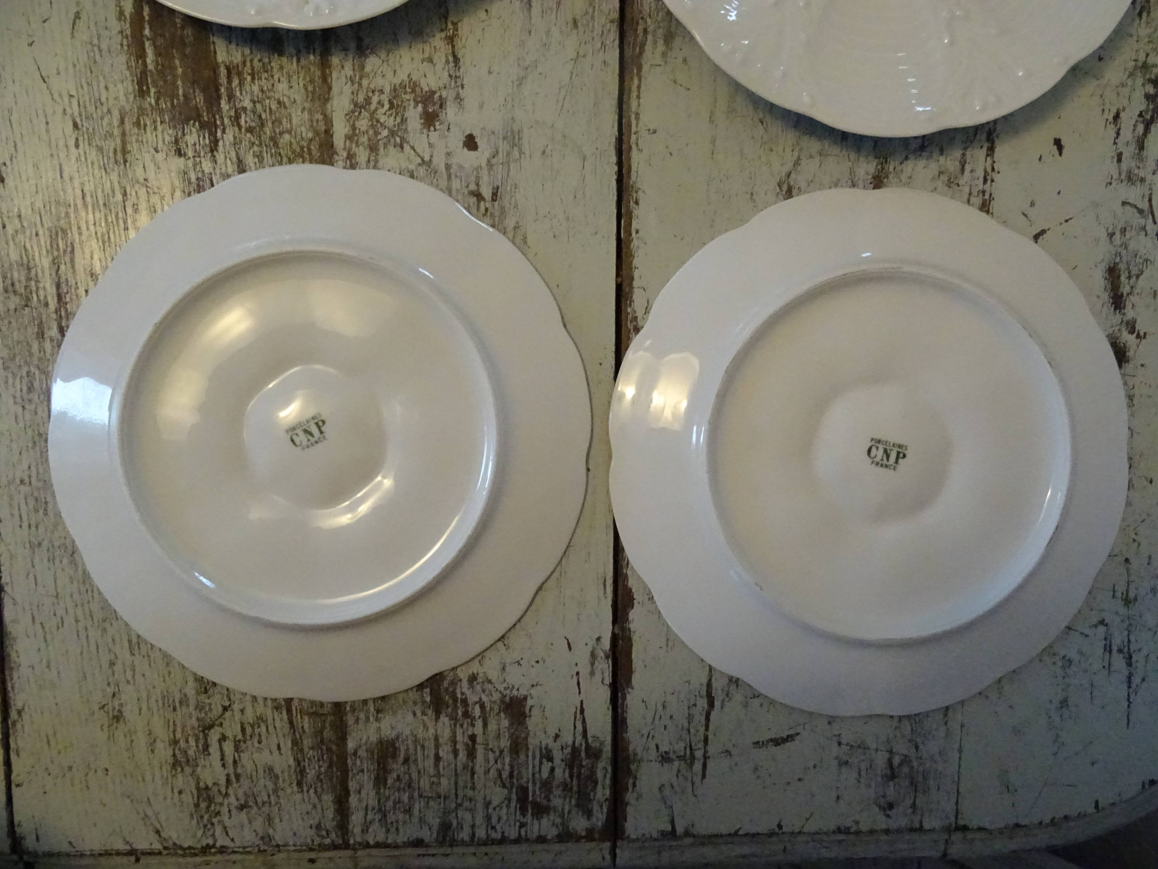 6 oyster plates 30123 porcelain white cnp france