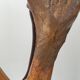 Vintage table lamp 1970s brutalist organic vegetal sculpted wood 70s
