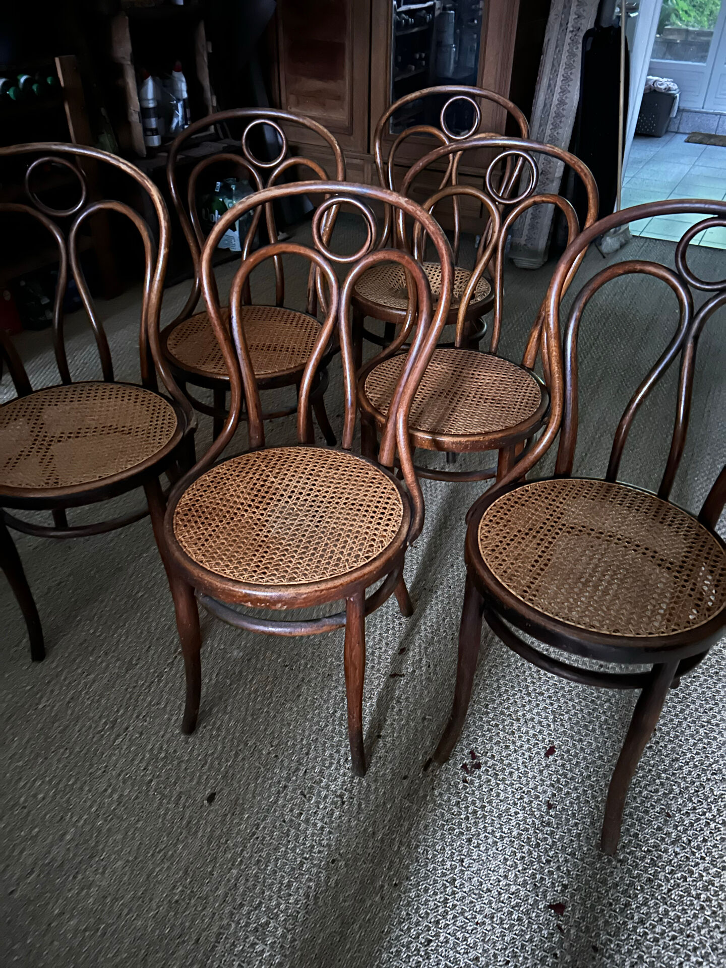 Set of 6 vintage Hoffmann chairs.