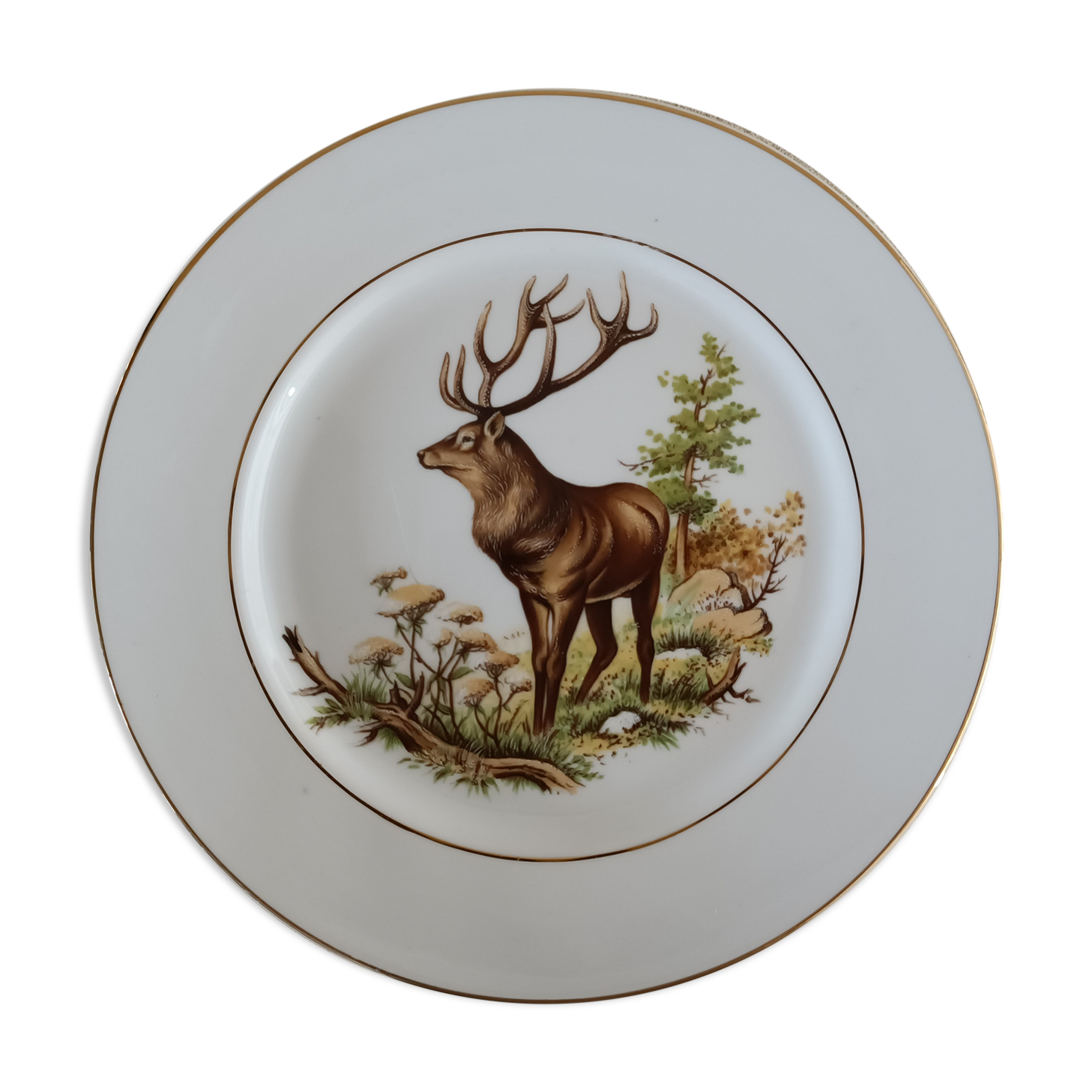 English porcelain plate