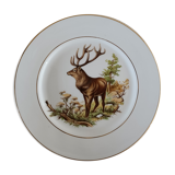 English porcelain plate