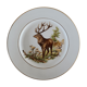English porcelain plate