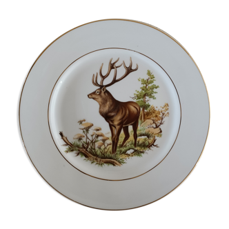 English porcelain plate