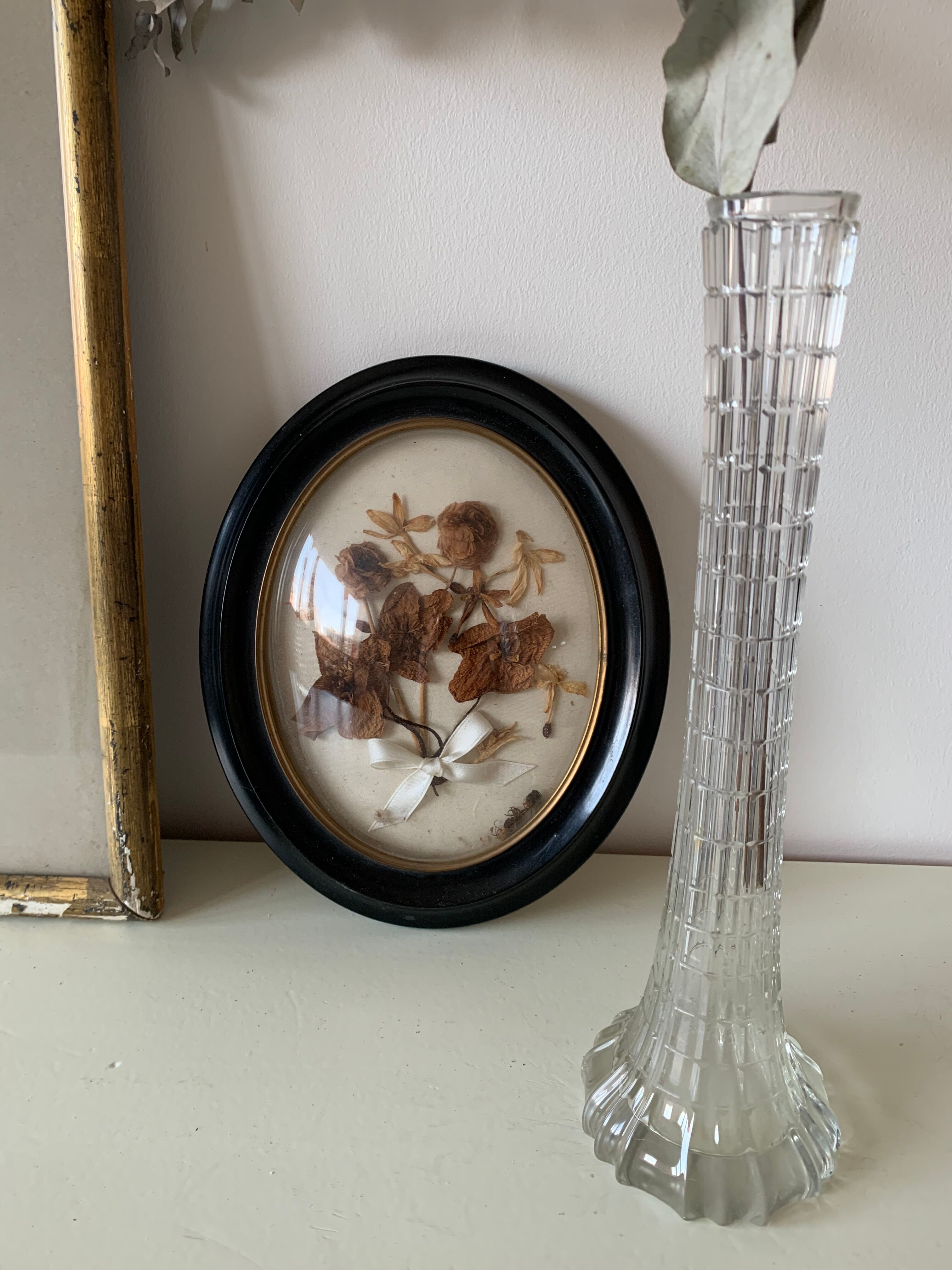 Herbier avec cadre Napoléon III