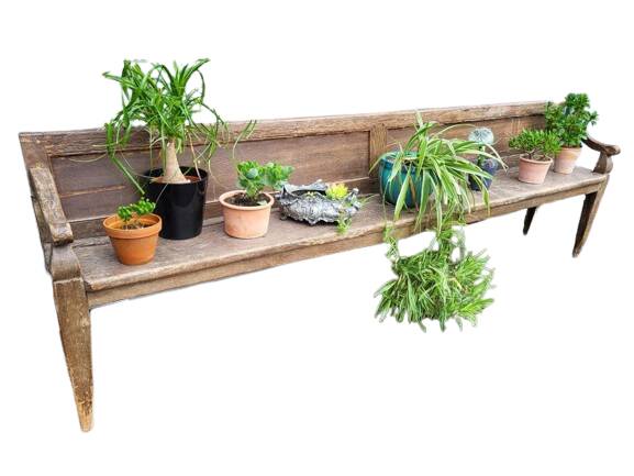 19th-century church pew, 245 cm long