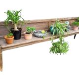 19th-century church pew, 245 cm long