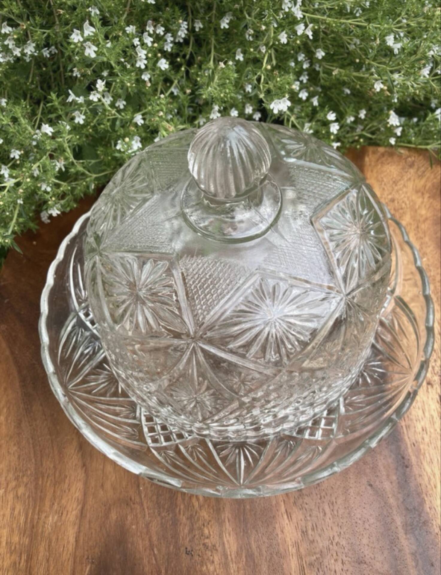 Pressed and moulded glass cheese dome