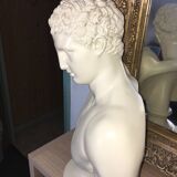 Bust of Hermes in plaster
