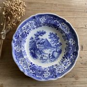 Duo of vintage Villeroy & Boch hollow plates "Burgenland"
