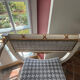 Pair of Curule armchairs