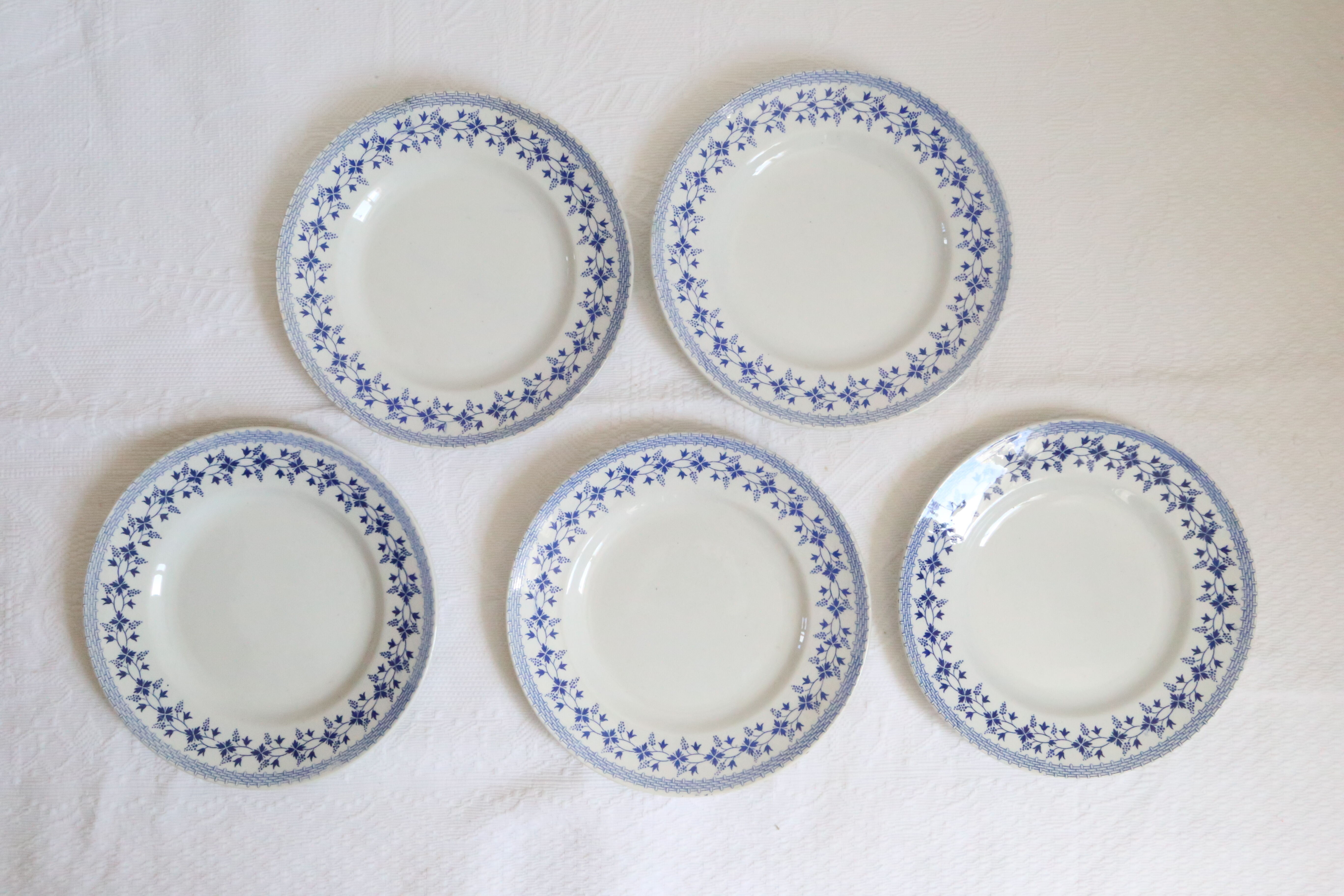 Ensemble de 9 assiettes plates, saint Amand, Bleuets, terre de fer