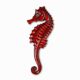 Belgian Ceramic Red Seahorse Plaque by André Bayer, 1960s