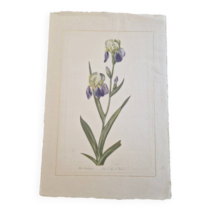 Dessin à l'aquarelle - soie