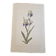 La Roche Laffitte (Born in 1943) - Watercolour drawing on silk - Iris