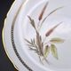 Set of 8 vintage dessert plates in porcelain – Wheat Ear pattern