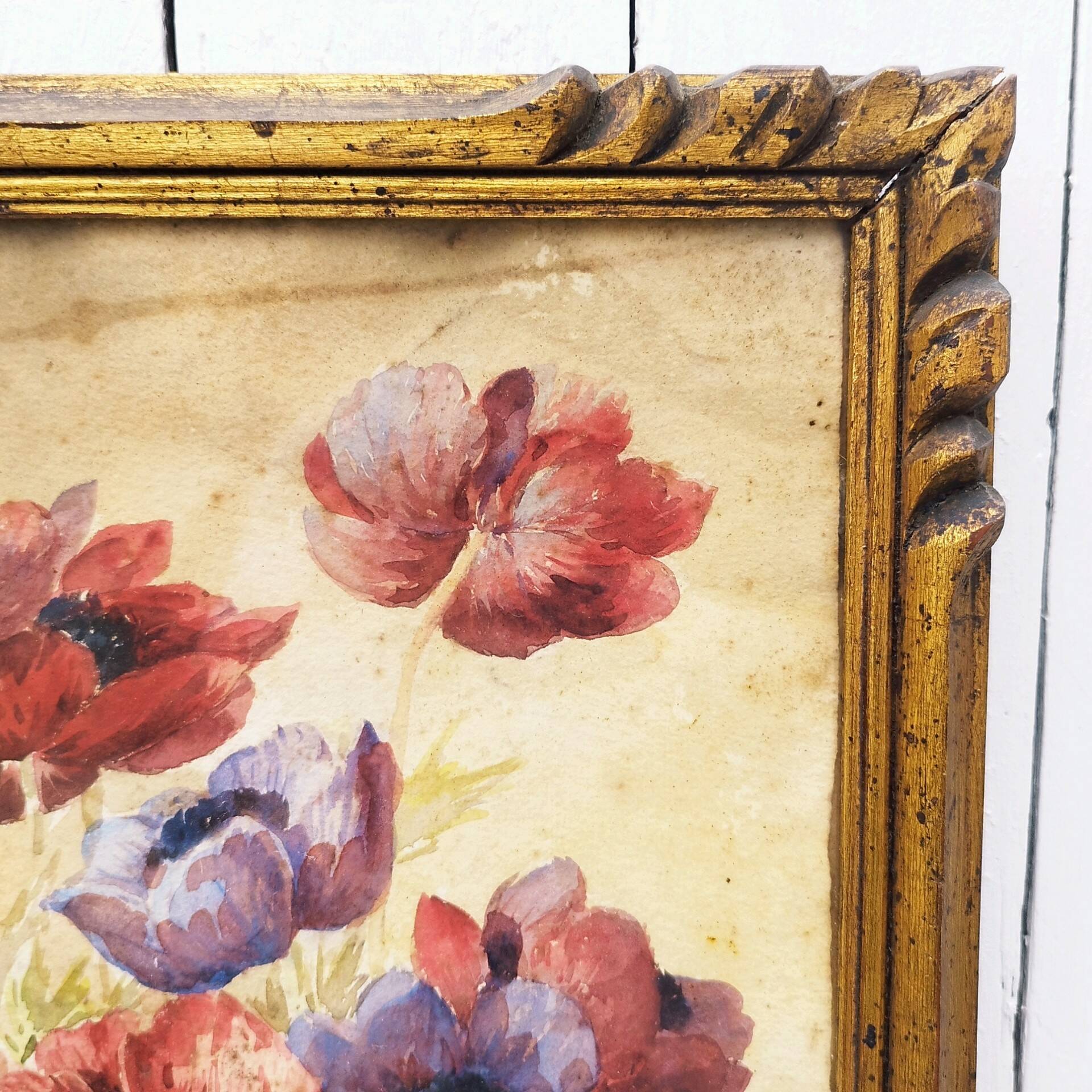 Watercolor bouquet of vintage Paul Marengo anemones