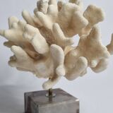 Antique White Coral on Marble Base, Height 18 cm