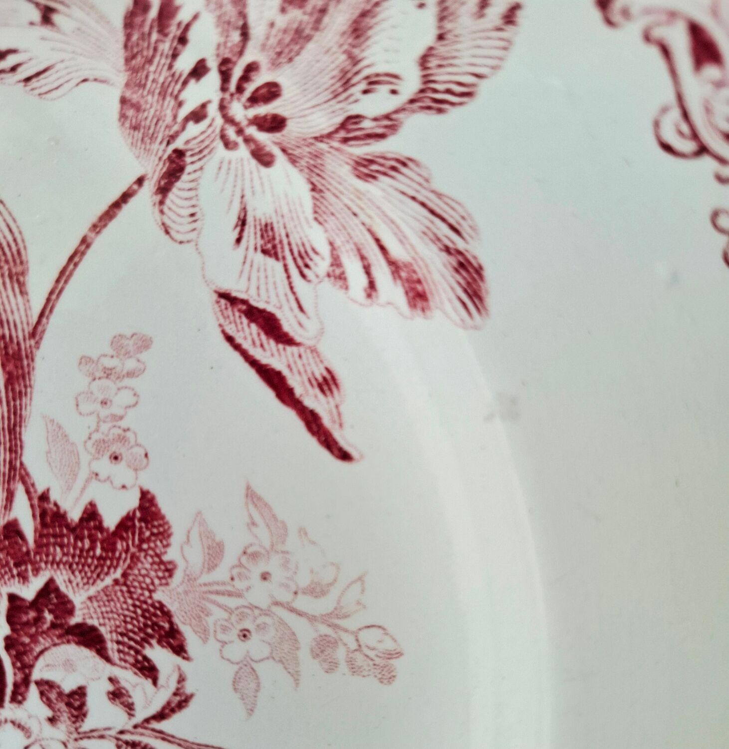 Antique mounted plate in ironstone earthenware.