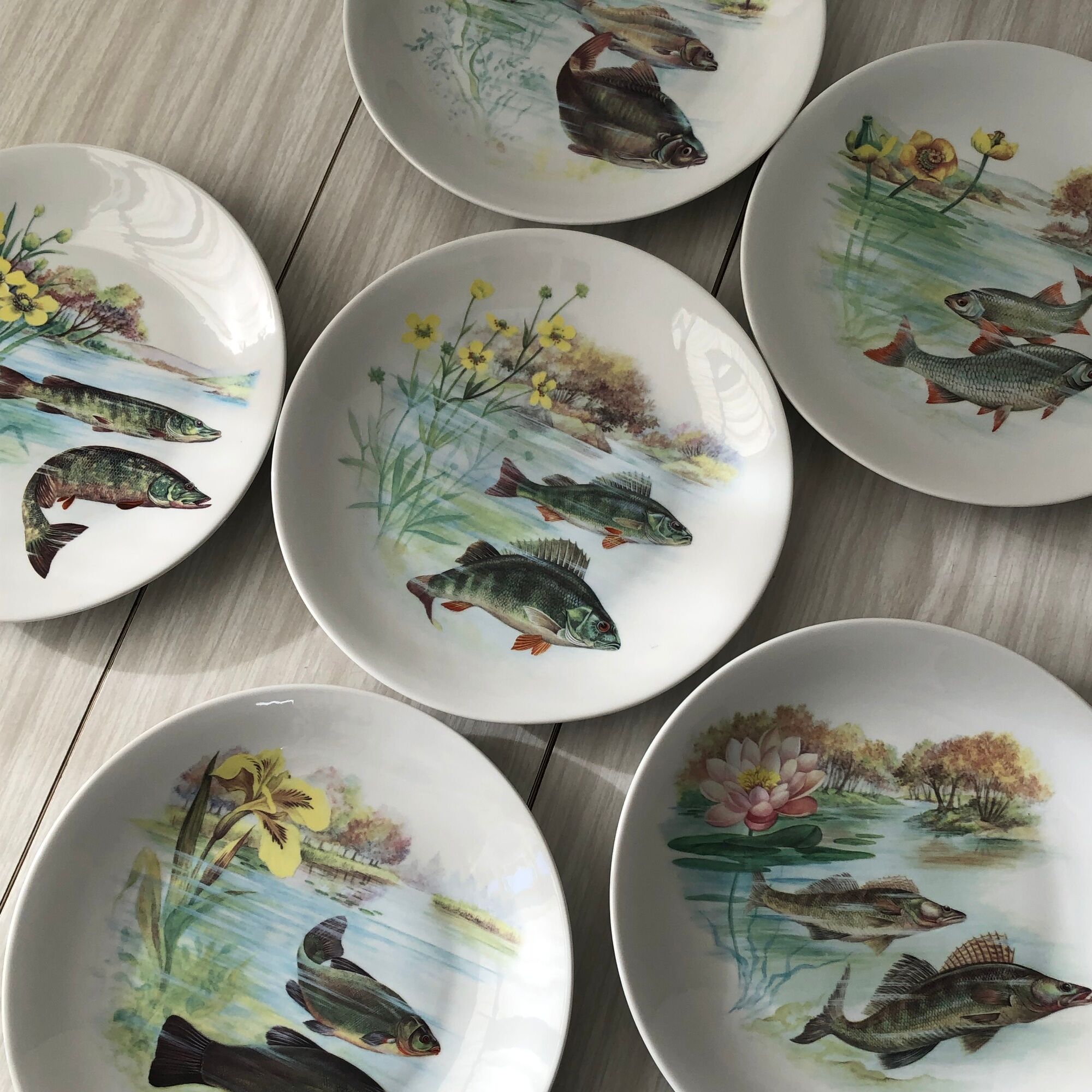 6 plates and 1 fish dish in Limoges porcelain. Freshwater Fish Patterns Service