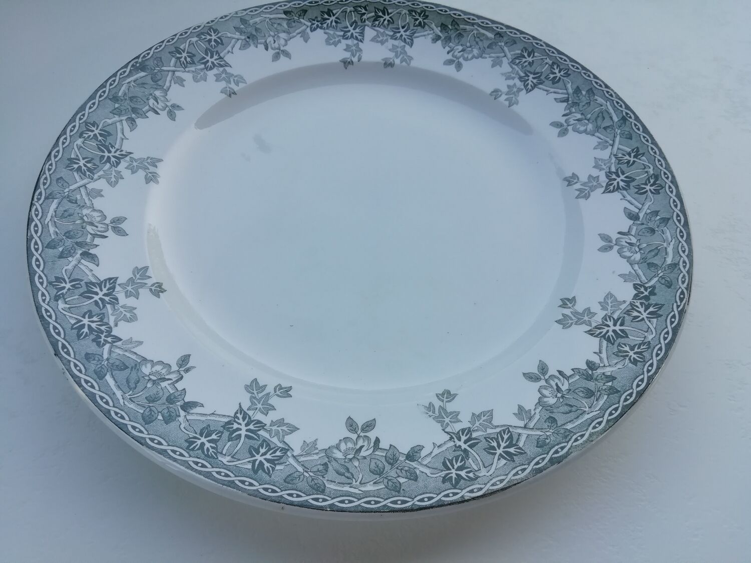 Iron earth dish