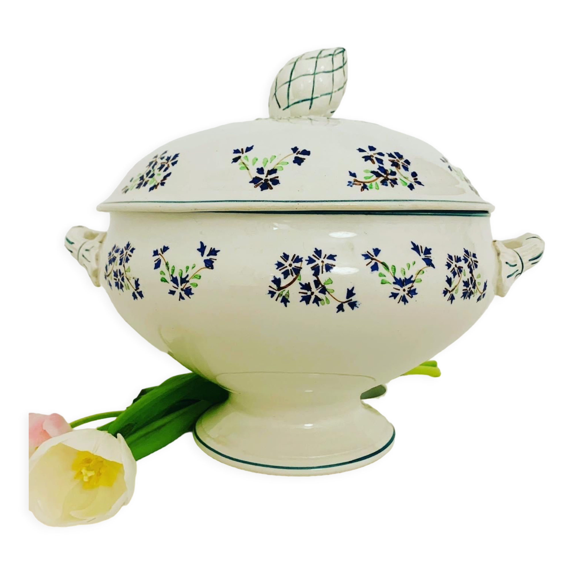 Porcelain tureen / earthenware of onnaing decoration barbeau