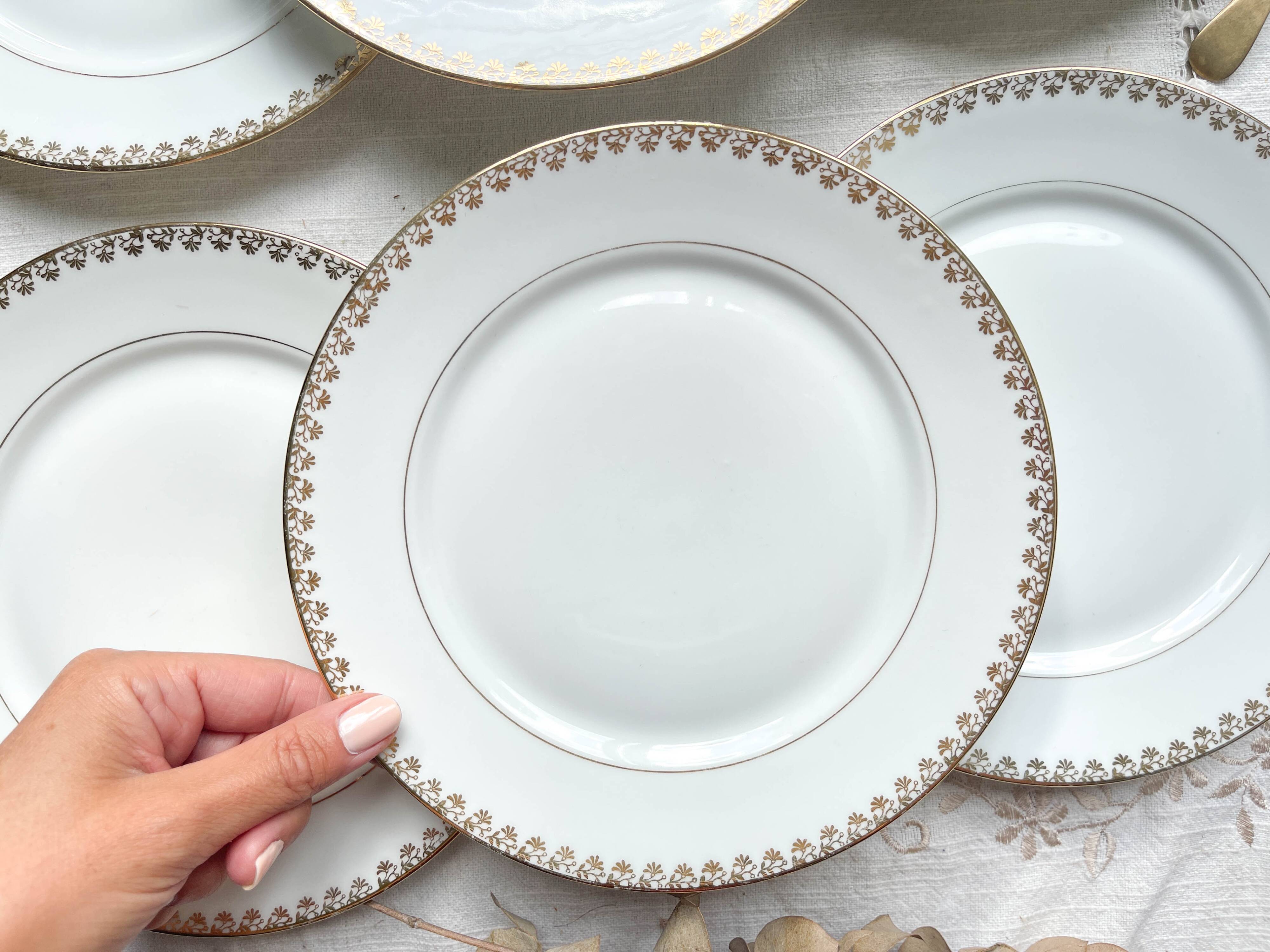 12 Vintage Terre de Fer White Plates + Small Gold White Porcelain Plates LIMOGES