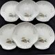 6 Limoges porcelain fish plates