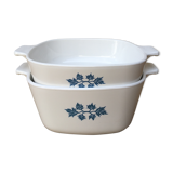 Pyroflam duo of dishes