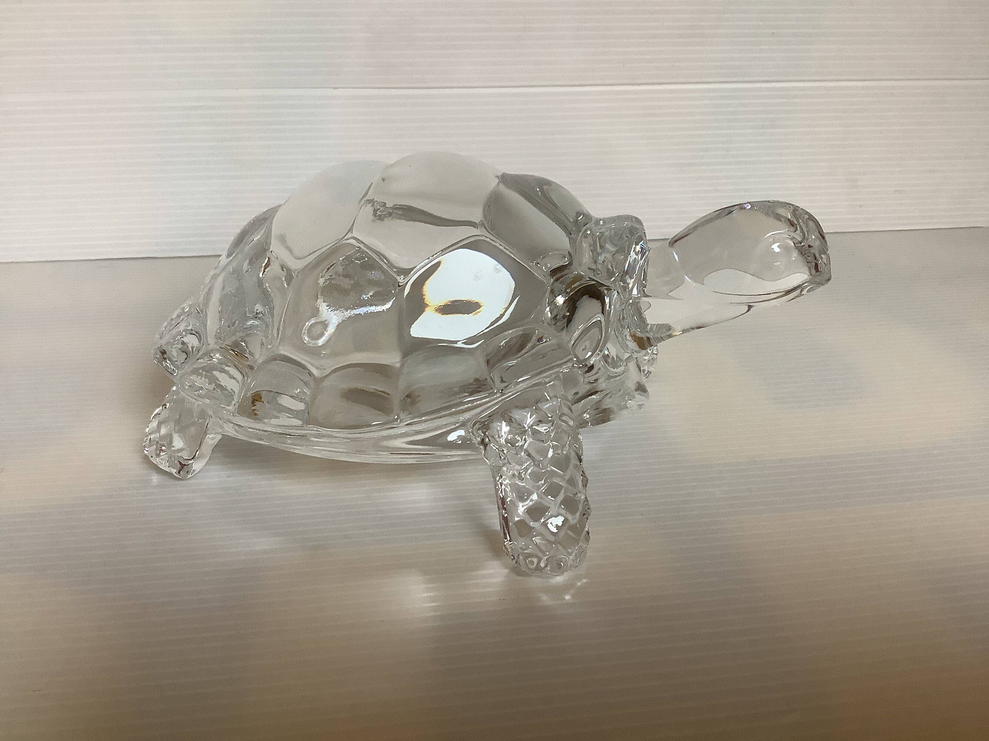 Arques crystal turtle