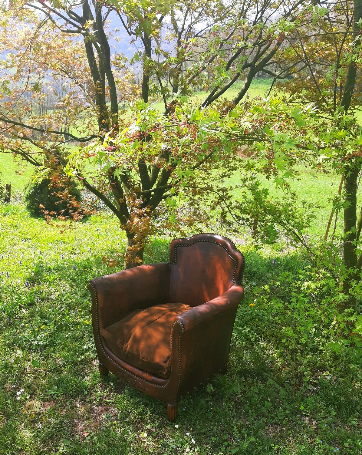 Club Armchair
