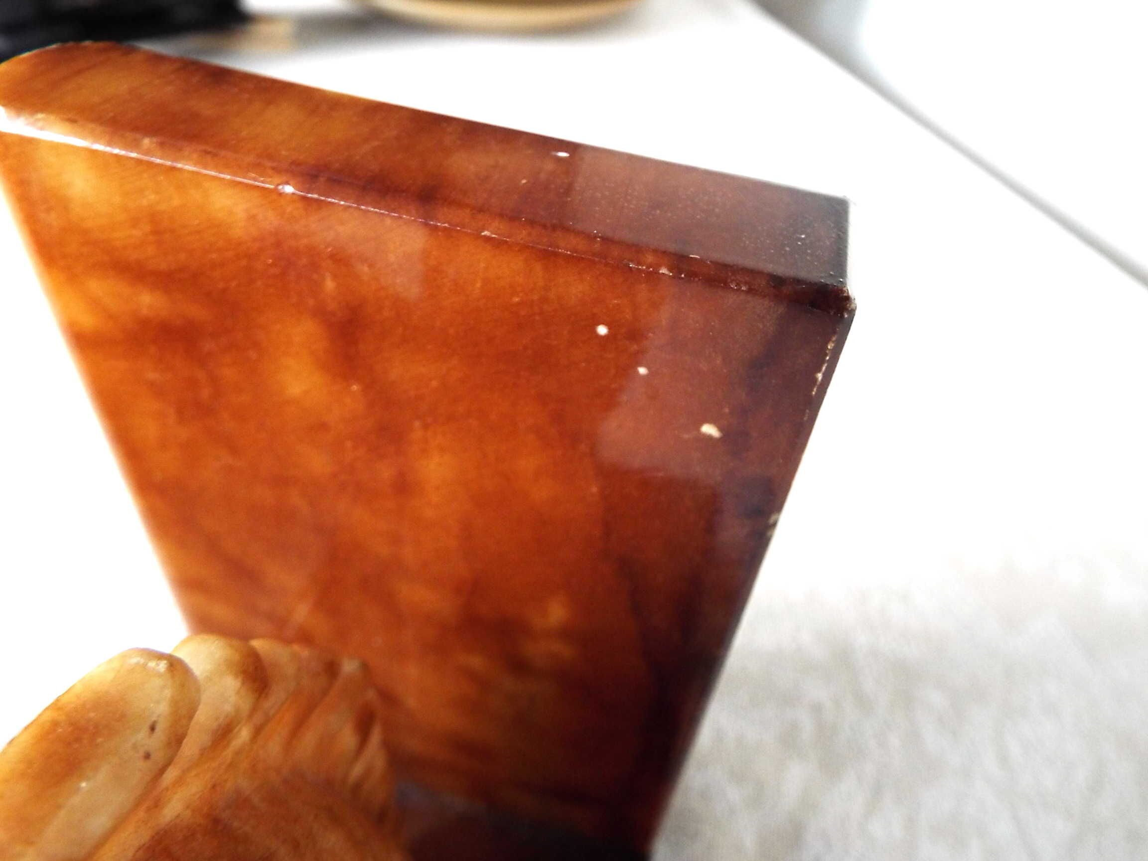 Horse book greenhouses