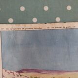 Vintage poster Rossignol edition