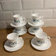6 cups and under cups Arcopal forget-me-not