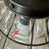 Glass and metal pendant light, Ulysses' garden