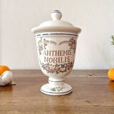 Anthemis Nobilis apothecary jar, in Saint Clément earthenware