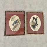 Set of 2 bird prints