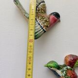 Two exotic birds in slip to hang