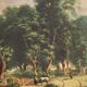 Italian countryside landscape painting oil on canvas from 20th century