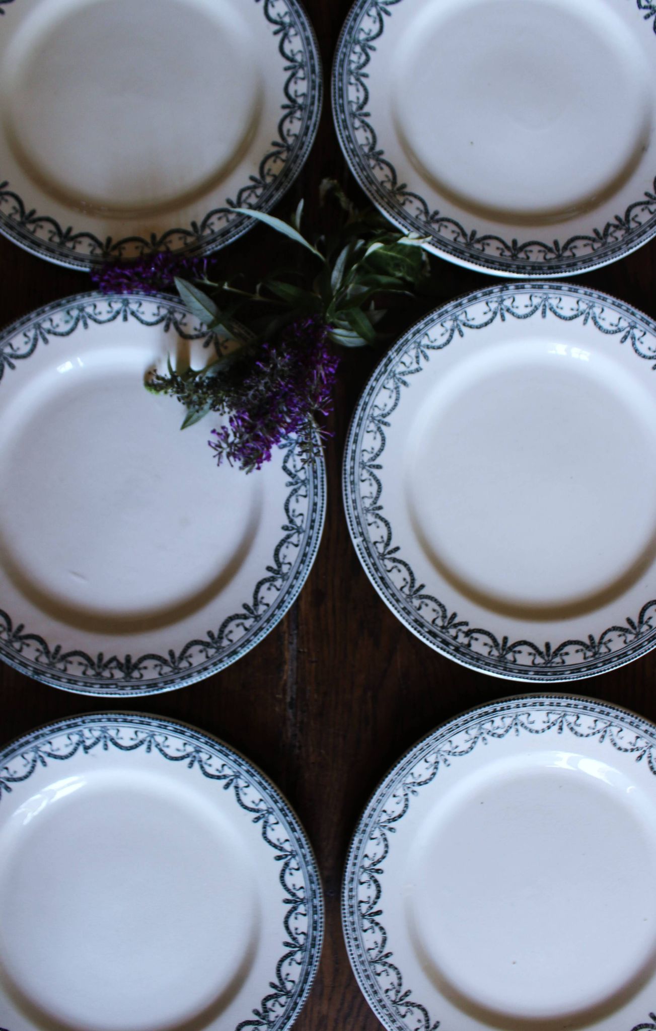 A set of 6 flat plates Terre de Fer Guirlandes Louis XVI Salins