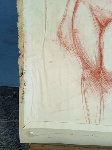 Drawing sanguine study nude female 67/50cm 1950